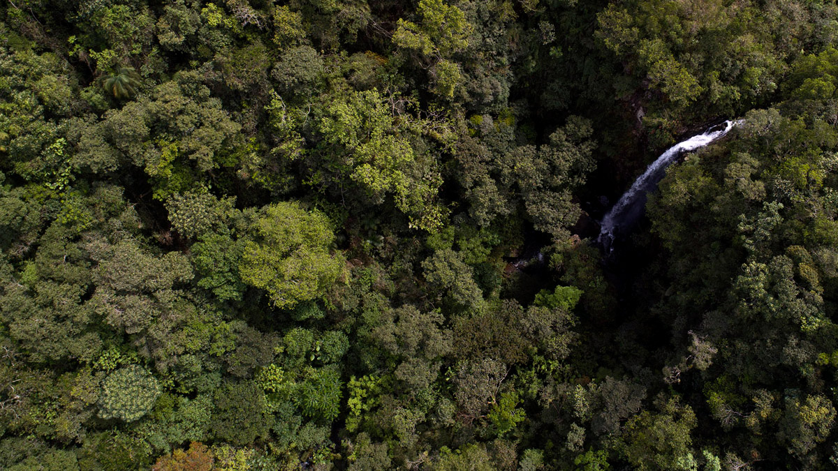 Cachoeira Reserva Ambiental São Francisco