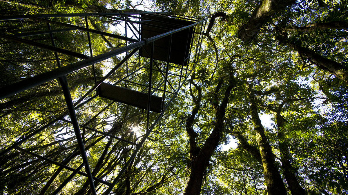 Torre de pesquisa para observação da vida silvestre